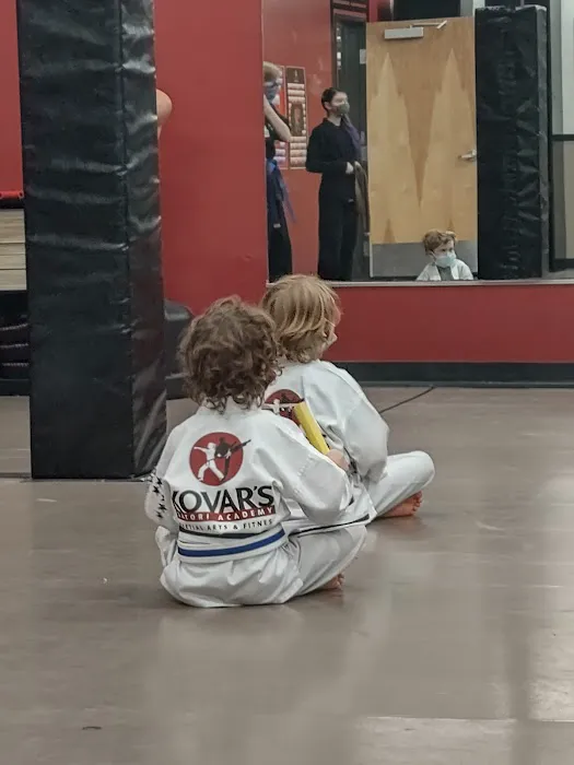Kovar's Satori Academy of Martial Arts - Roseville Picture 4