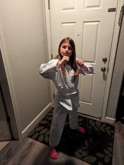 Roseville Academy - Family Taekwondo Picture 1