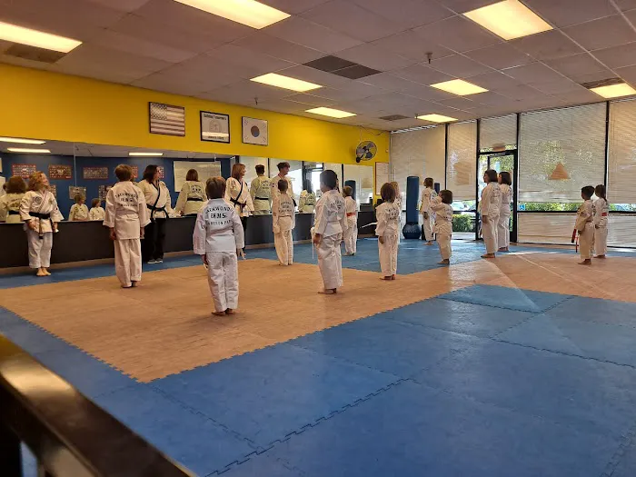 Cameron Park Taekwondo Picture 3