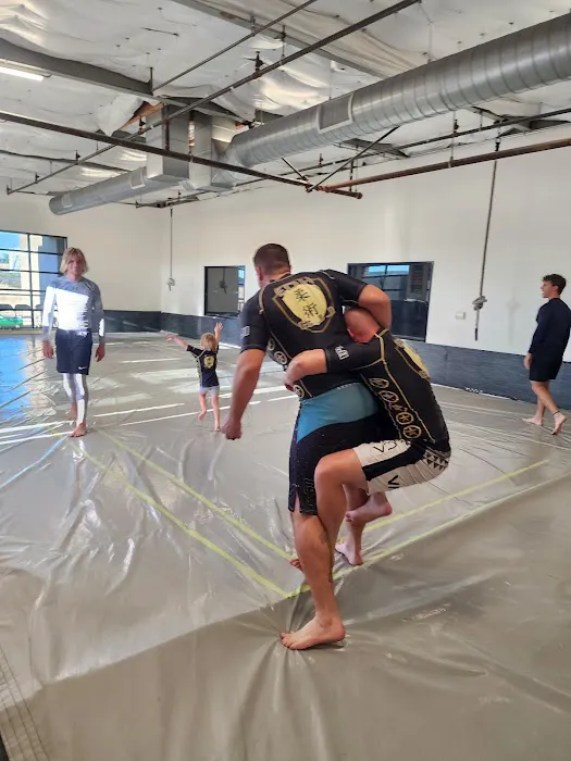 El Dorado Hills Brazilian Jiu Jitsu & Self Defense Picture 4