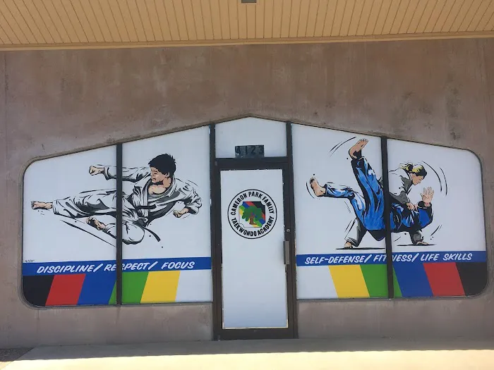 C3 Martial Arts Academy Picture 2