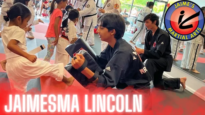 Evolution Martial Arts - Lincoln Picture 2