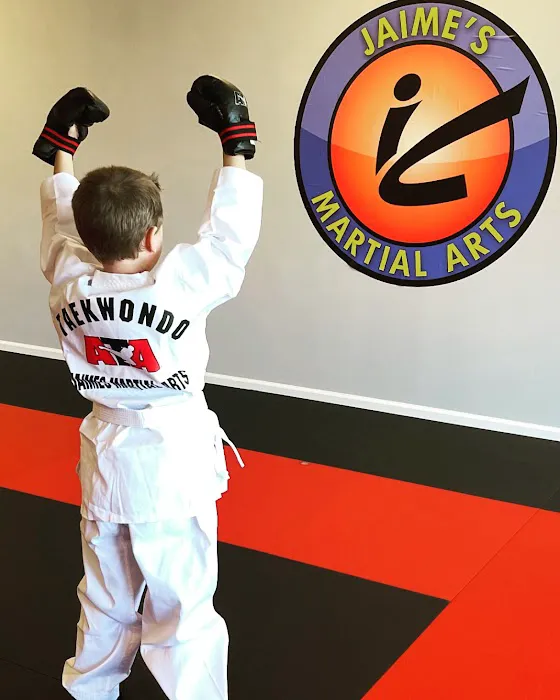 Evolution Martial Arts - Lincoln Picture 10