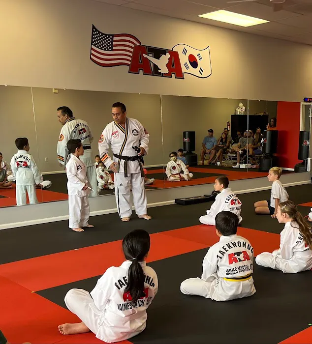 Evolution Martial Arts - Lincoln Picture 8