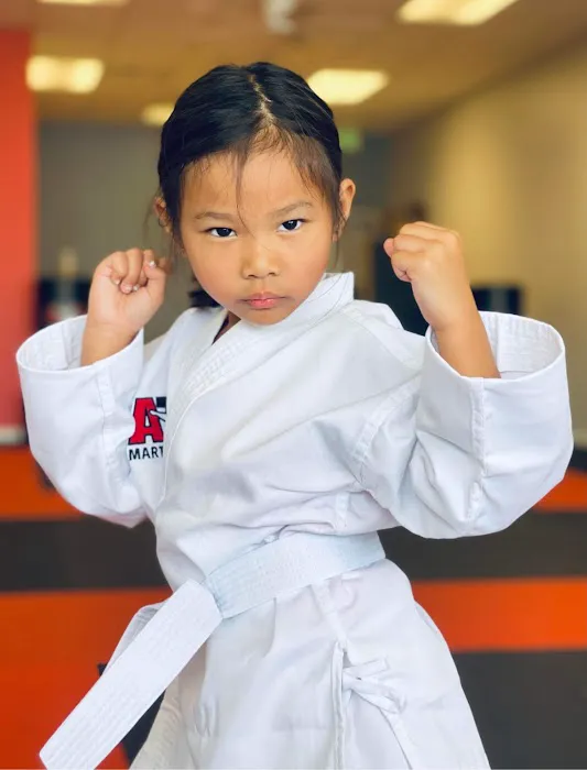 Evolution Martial Arts - Lincoln Picture 9