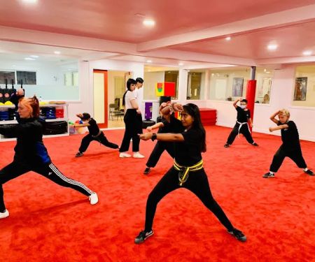 Wushu Central Martial Arts Academy