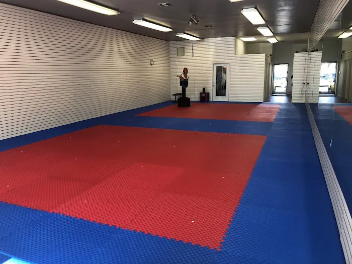 Sky Family Taekwondo Picture 7
