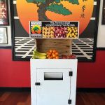 United Studios of Self Defense, Palo Alto