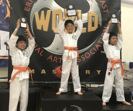 World Martial Arts Palo Alto