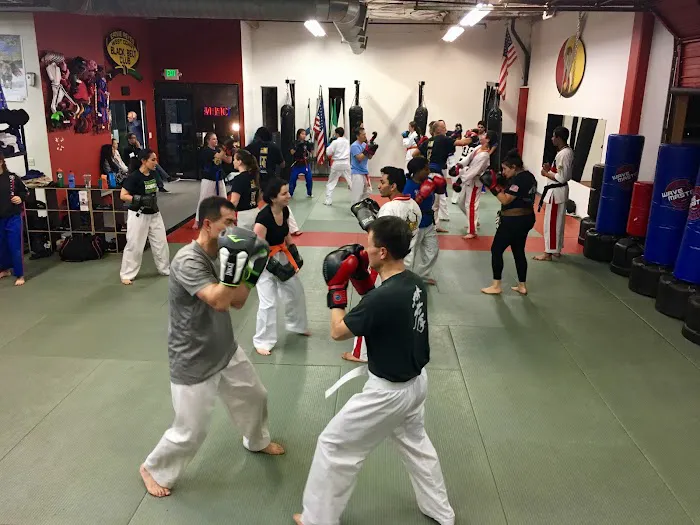 World Martial Arts Palo Alto Picture 2