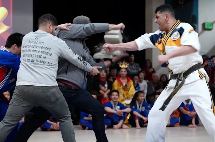 World Martial Arts Palo Alto Picture 8