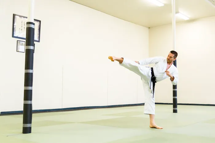 Silicon Valley Karate Picture 2