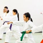 Silicon Valley Karate