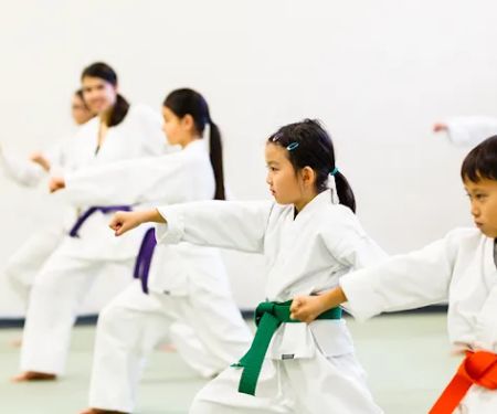 Silicon Valley Karate