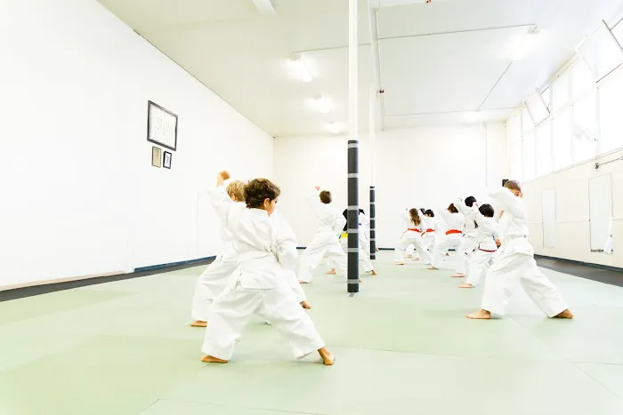 Silicon Valley Karate Picture 4