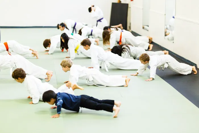Silicon Valley Karate Picture 3