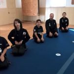 Martial Arts of Los Altos, LLC.