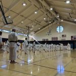 Satsuma Dojo