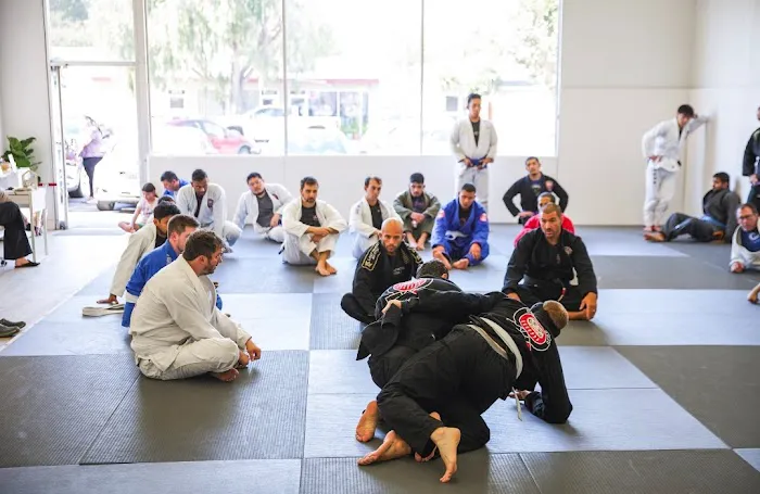 Daruma Dojo Picture 2