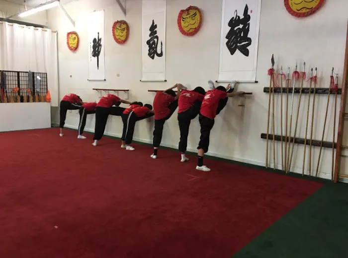 AllStar Kung Fu Picture 10