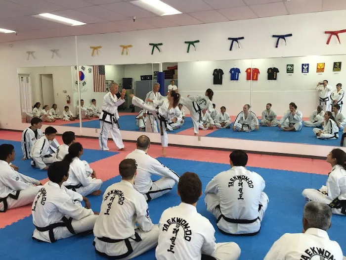 Mightyfist Taekwon-Do Picture 1