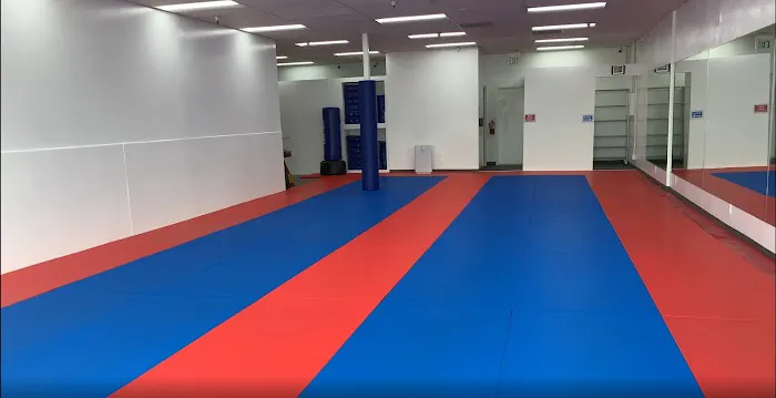 Mightyfist Taekwon-Do Picture 6