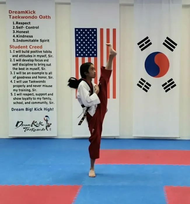 Dreamkick Taekwondo Picture 2