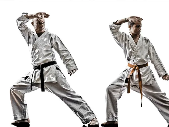 Bei Shaolin Kung Fu Institute Picture 3