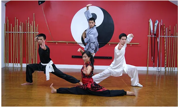 Bei Shaolin Kung Fu Institute Picture 10