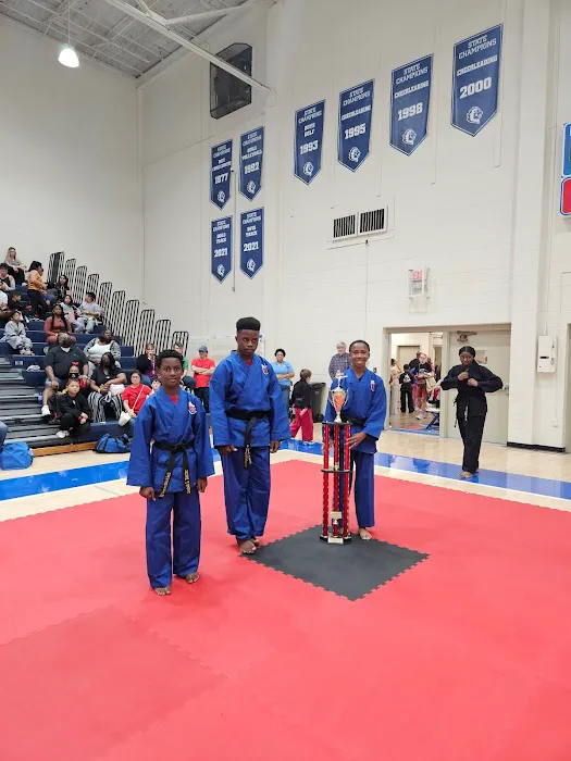 Memphis Taekwondo and Hapkido Academy Picture 9