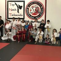 Top Notch Taekwondo ico
