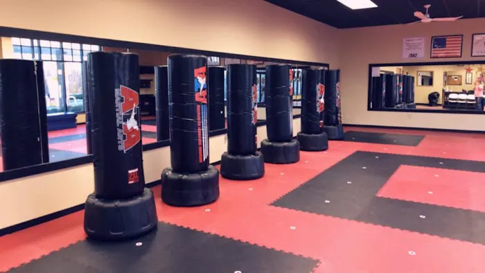 Intensity Martial Arts - Southaven ATA Picture 3