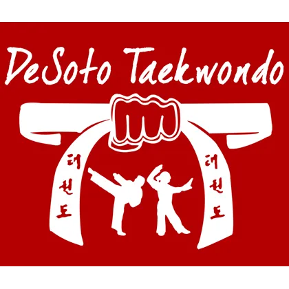DeSoto Taekwondo Picture 5