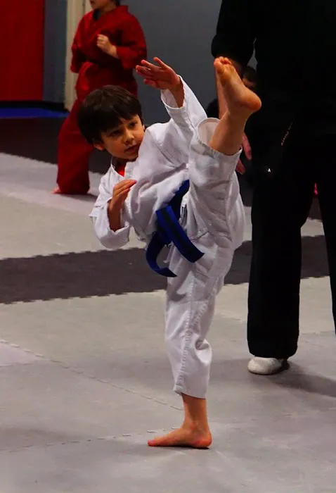DeSoto Taekwondo Picture 4