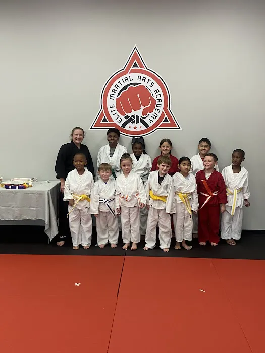 Elite Martial Arts Academy Picture 2