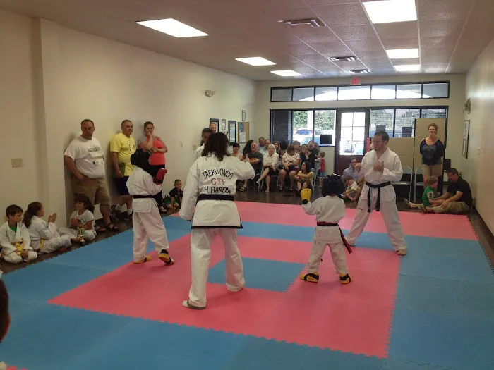 Hardin's Southwind Taekwondo Picture 1