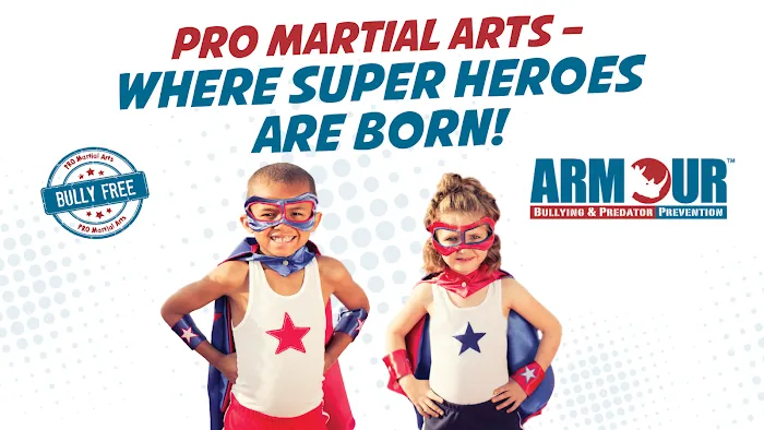 Pro Martial Arts - Germantown Picture 1
