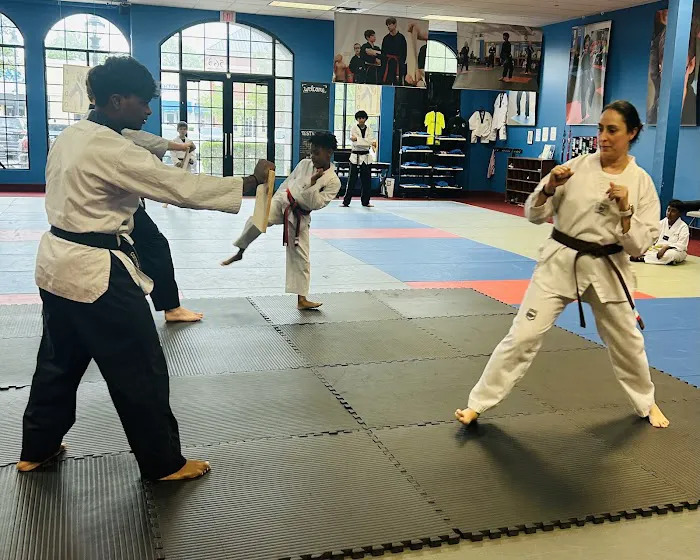 Collierville Taekwondo Picture 5