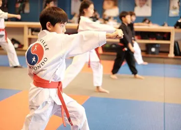 Collierville Taekwondo Picture 7