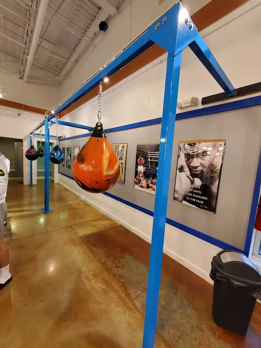 Border Martial Arts Academy Picture 2