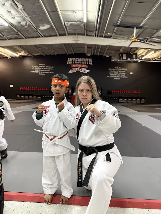 Intensity Martial Arts - Collierville ATA Picture 3
