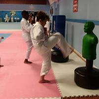 Blann's Martial Arts ico