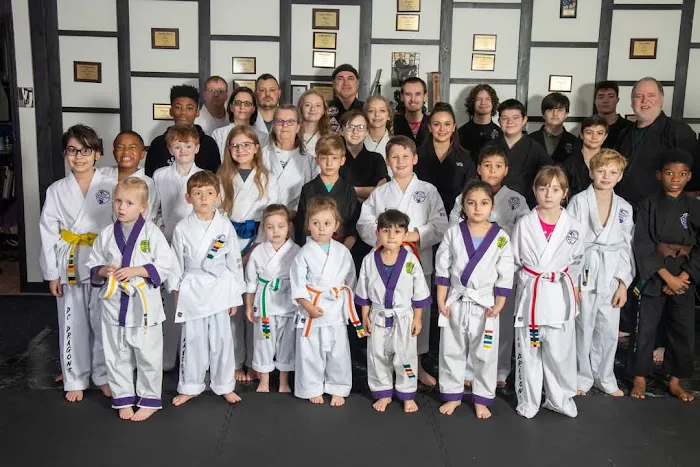 DC Dragons Karate Picture 3