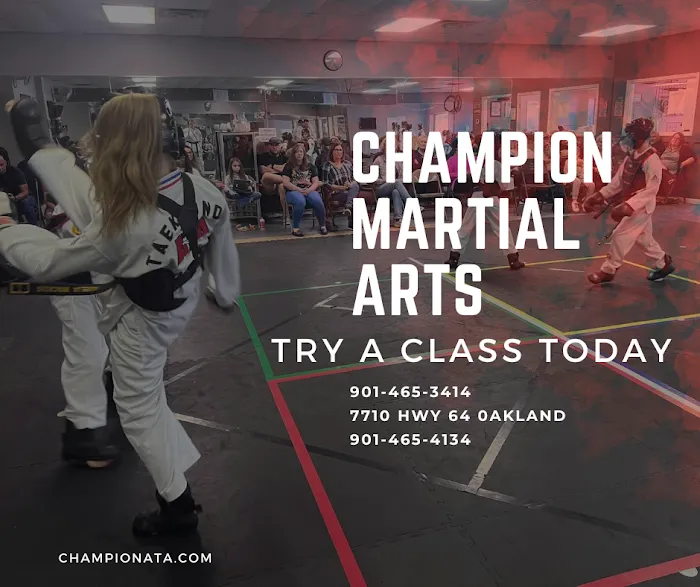 Champion Martial Arts Picture 9