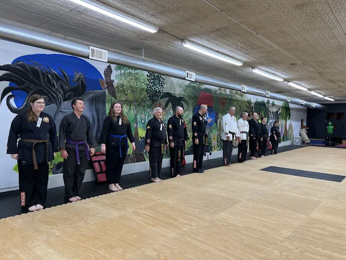Kang Rhee Institute Of Self Defense Picture 8