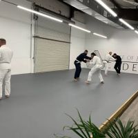 Science of Jiu Jitsu Academy ico
