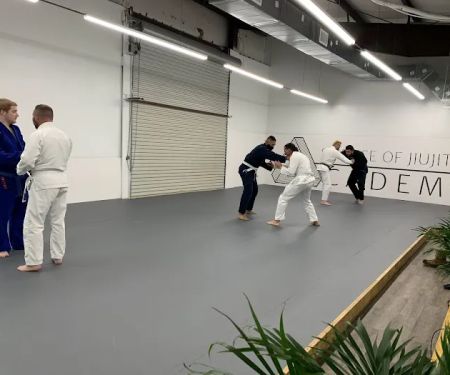 Science of Jiu Jitsu Academy
