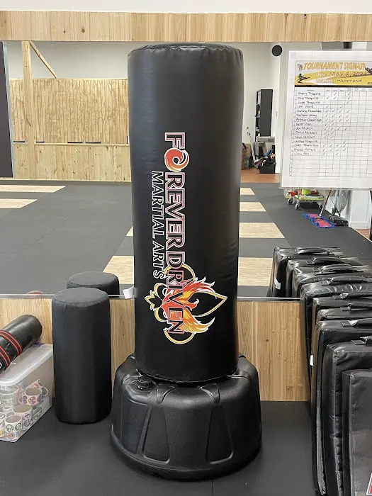 Forever Driven Martial Arts Picture 4