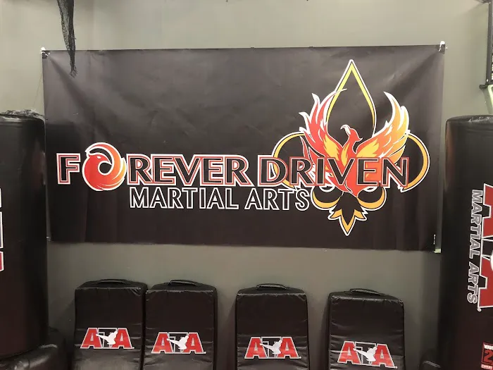 Forever Driven Martial Arts Picture 10