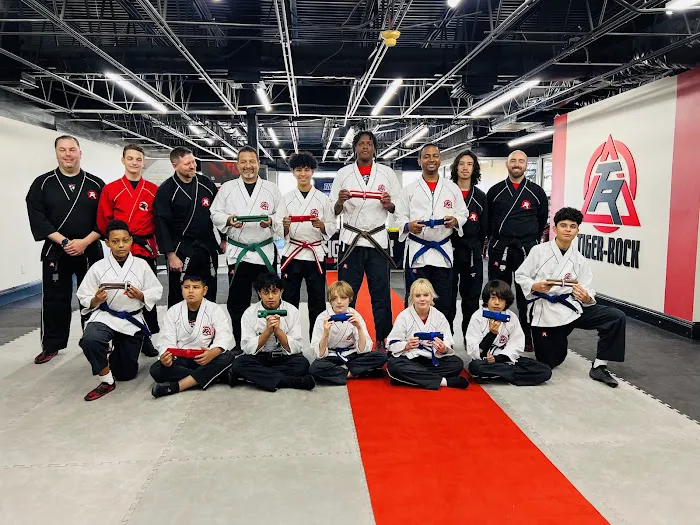 Tiger-Rock Martial Arts Picture 3